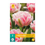 Tulpenbollen Foxtrot (zakje van 7 stuks)